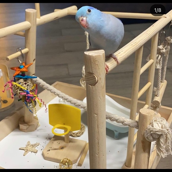 Bird items toys playground bowling wreath 4 parrot - Picture 4 of 5